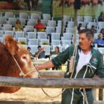 Sul Informação - FACECO termina hoje depois de 28ª edição cheia de novidades