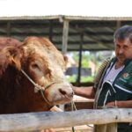 Sul Informação - FACECO termina hoje depois de 28ª edição cheia de novidades