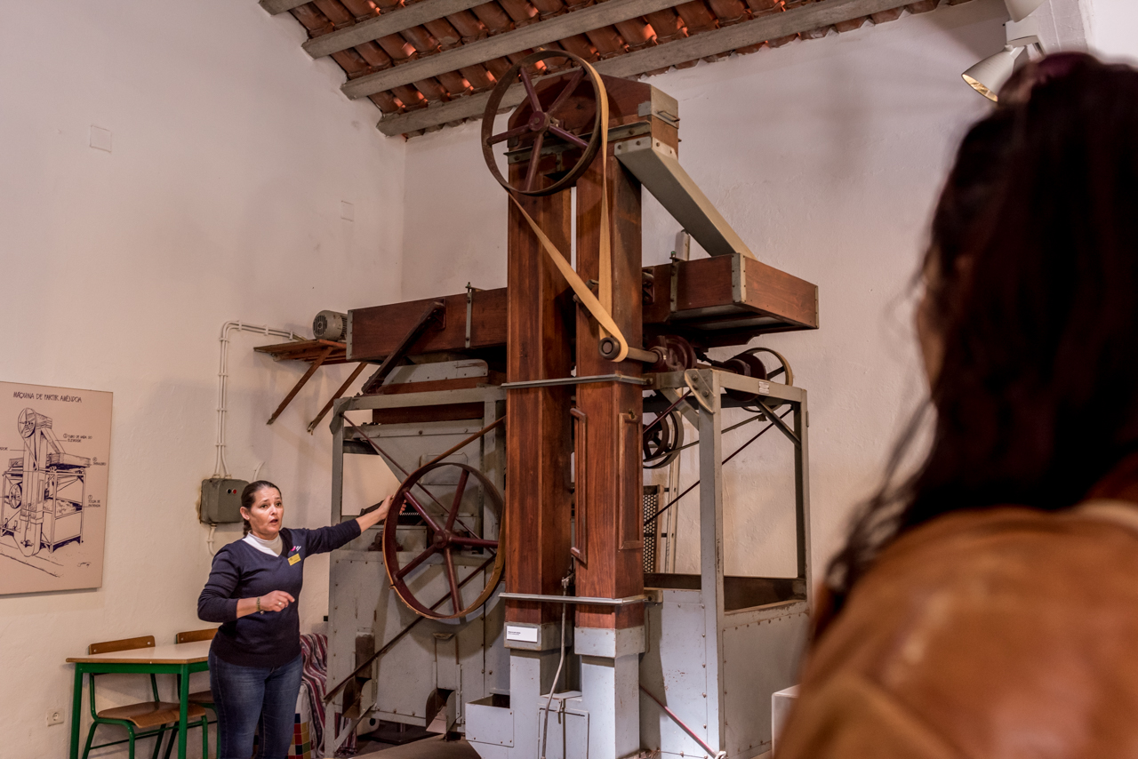 Sul Informação - Fotogaleria: Loulé é “criativo” e deu-se a conhecer a jornalistas e agentes turísticos