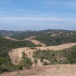 Sul Informação - Silves intensifica criação de faixas de gestão de combustível para defesa contra incêndios