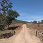 Sul Informação - Silves intensifica criação de faixas de gestão de combustível para defesa contra incêndios