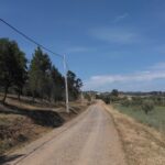 Sul Informação - Silves intensifica criação de faixas de gestão de combustível para defesa contra incêndios
