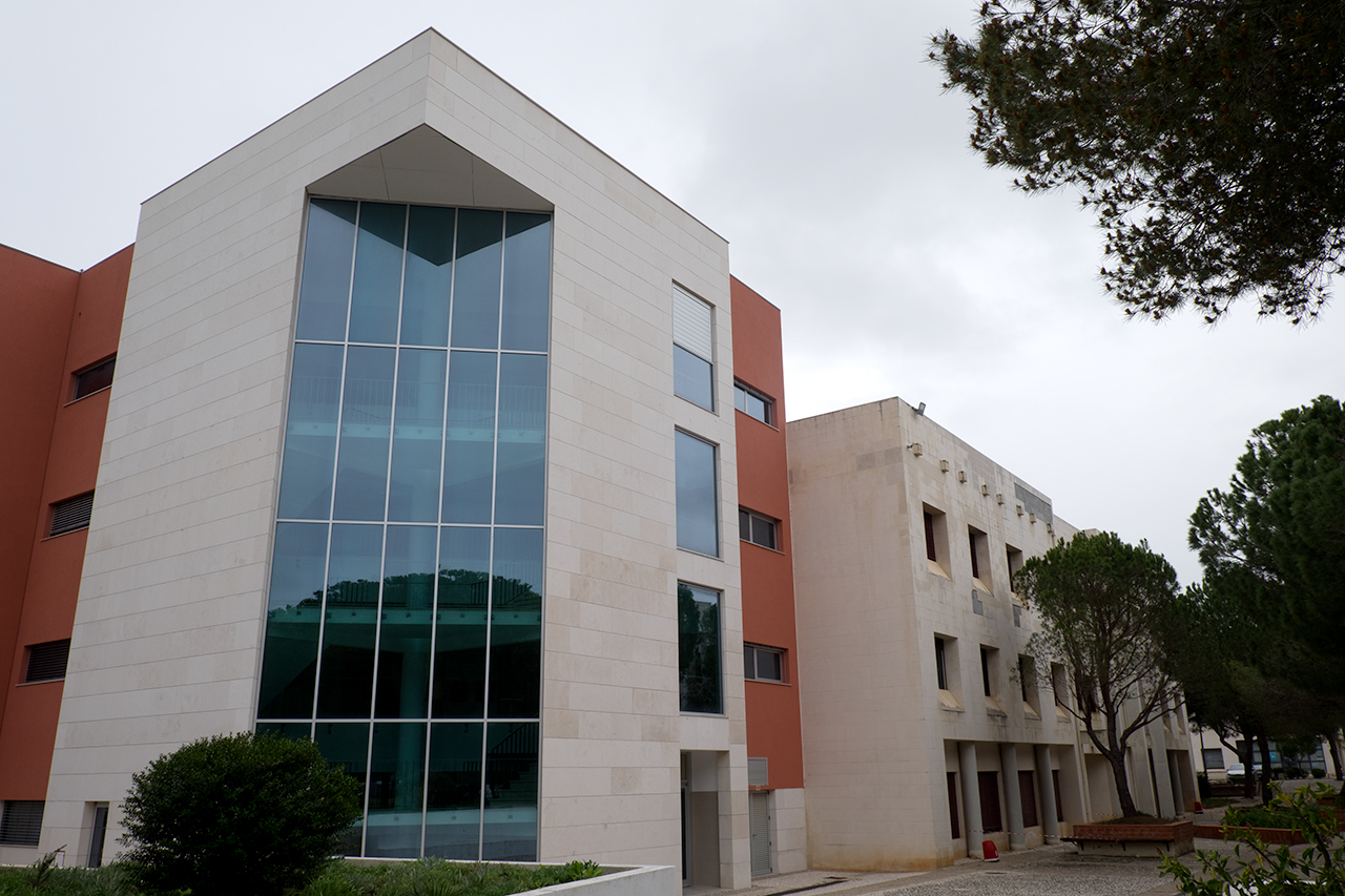 Sul Informação - A propósito do Curso de Medicina do Algarve: visão pessoal