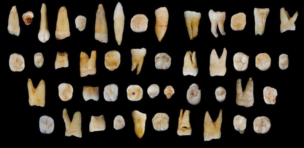 Sul Informação - O Homo sapiens chegou à China muito mais cedo do que à Europa