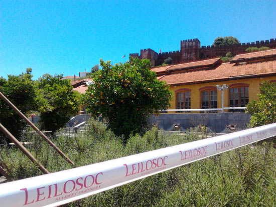 Sul Informação - Grupo Nogueira compra espólio do Museu da Cortiça, CGD fica com edifícios da Fábrica do Inglês