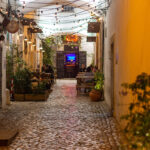 Sul Informação - Quando diversão noturna e moradores coabitam há «uma equação difícil para resolver»