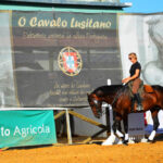 Sul Informação - Fatacil mostra o Algarve ao mundo até 27 de Agosto [fotogaleria]