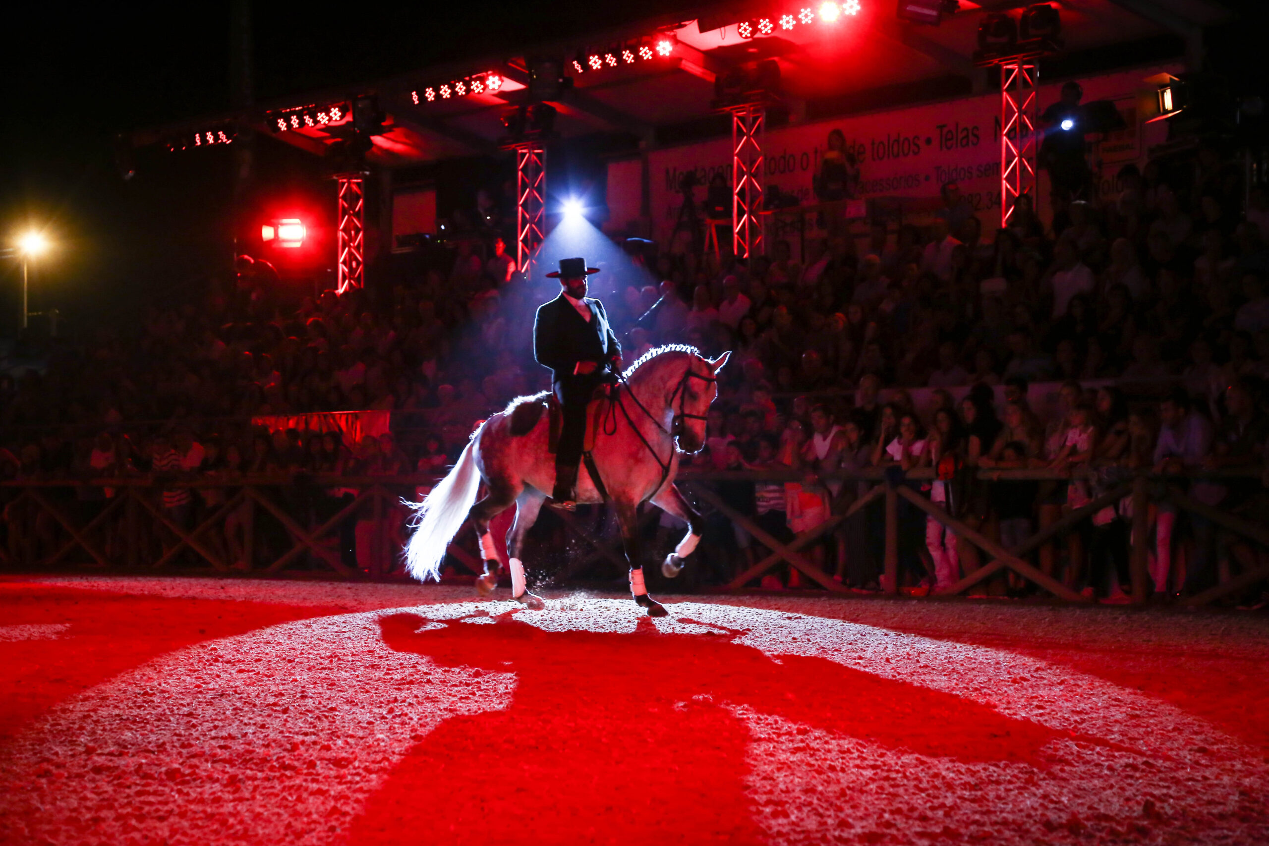 Sul Informação - FATACIL apresenta programa equestre ambicioso com cavaleiros de renome nacional e internacional