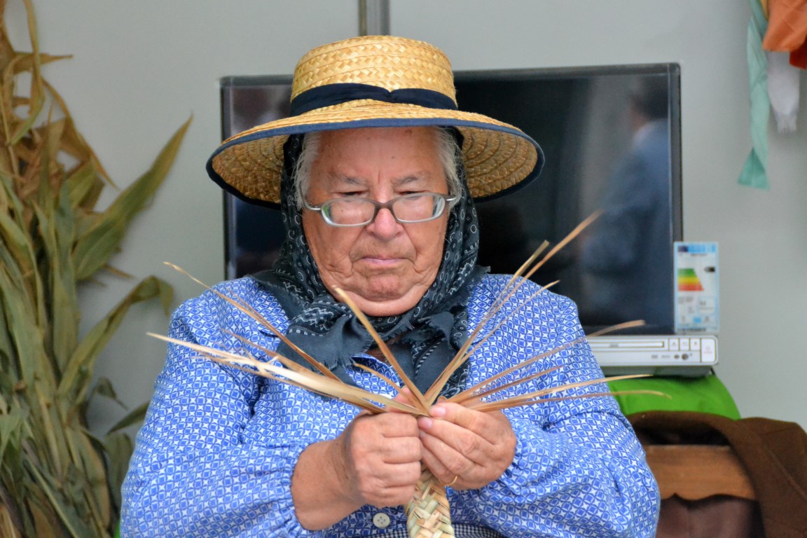 Sul Informação - Fotogaleria: Dieta mediterrânica inspira feira e gera economia em Tavira
