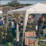 Sul Informação - 12ª edição da Feira de Jardins do Mediterrâneo recebeu um «público recorde» em Estoi