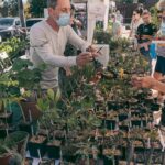 Sul Informação - 12ª edição da Feira de Jardins do Mediterrâneo recebeu um «público recorde» em Estoi