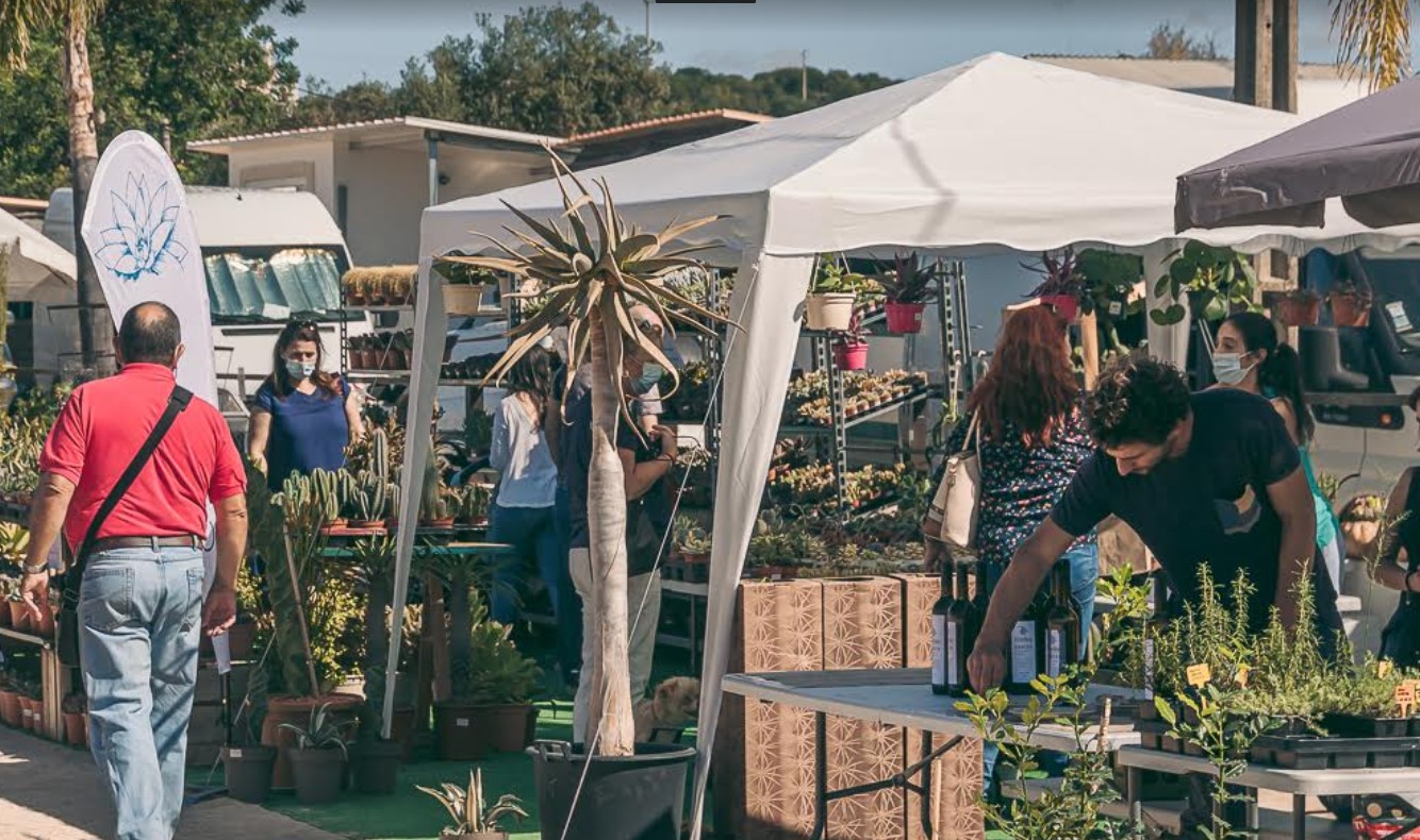 Sul Informação - 12ª edição da Feira de Jardins do Mediterrâneo recebeu um «público recorde» em Estoi