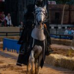 Sul Informação - Fotogaleria: Trajes de época, animação e torneios fazem viajar no tempo em Silves