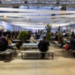 Sul Informação - Uma batata doce que dá para (quase) tudo volta a ter o seu festival em Aljezur