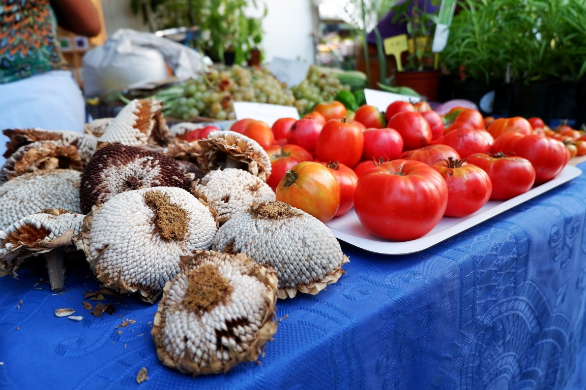 Sul Informação - Dieta Mediterrânica volta a apelar a todos os sentidos em Tavira [com fotogaleria]