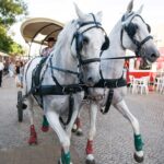 Sul Informação - 28 mil visitaram Feira da Serra que terá mais dias em 2017 (com fotos)