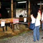 Sul Informação - Fotogaleria: Feira da Serra já está a mostrar inovação “made in Algarve”