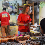 Sul Informação - Feira já mostra o que de melhor se faz na serra em São Brás