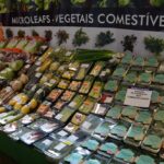 Sul Informação - Feira de Hotelaria e Restauração na Makro de Albufeira mostra tendências e abre vertente solidária