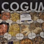Sul Informação - Feira de Hotelaria e Restauração na Makro de Albufeira mostra tendências e abre vertente solidária