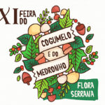 Sul Informação - Feira do Cogumelo e do Medronho valoriza produtos locais de São Barnabé