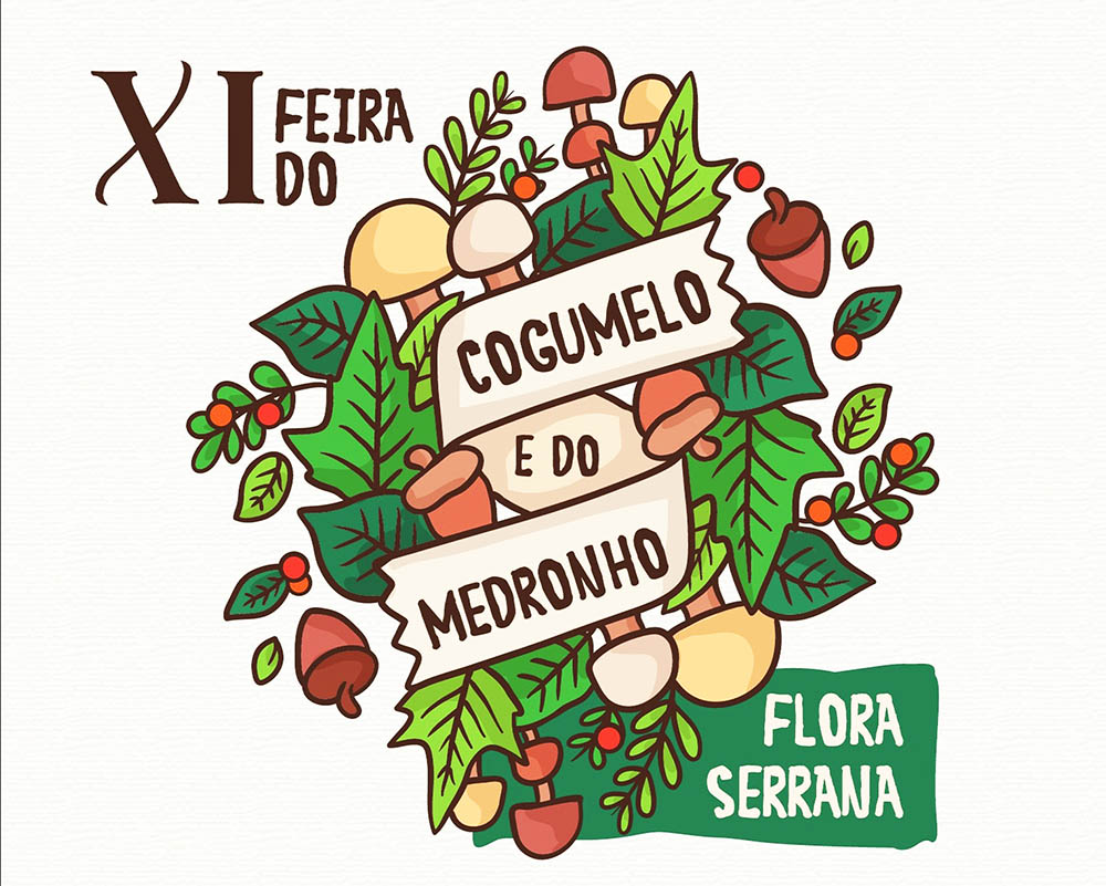 Sul Informação - Feira do Cogumelo e do Medronho valoriza produtos locais de São Barnabé