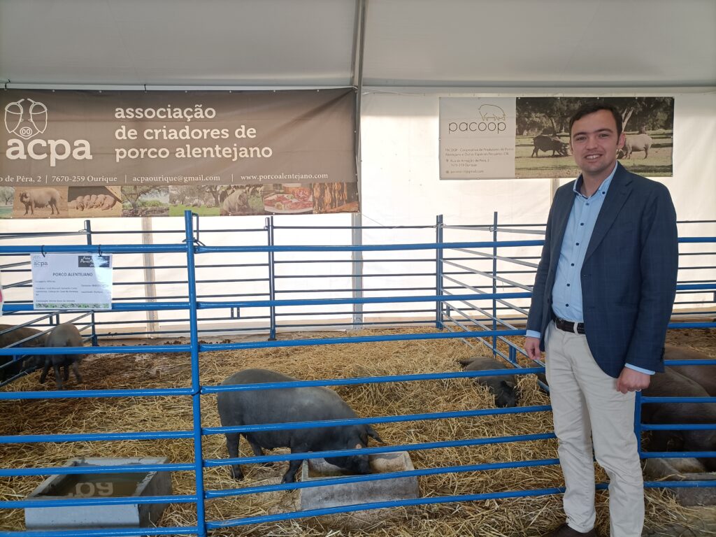 Sul Informação - Mais de 100 expositores na feira em Ourique para valorizar porco alentejano