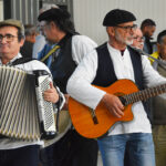 Sul Informação - Feira do Mel e do Medronho atraiu visitantes à Cortelha