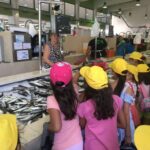 Sul Informação - São Brás de Alportel volta a criar programa de Férias de Verão destinado aos mais jovens