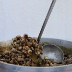 Sul Informação - Festival do Caracol de Castro Marim regressou este fim de semana e foi «um sucesso»