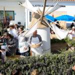 Sul Informação - Festa da Espiga de Salir regressa em grande com várias atividades