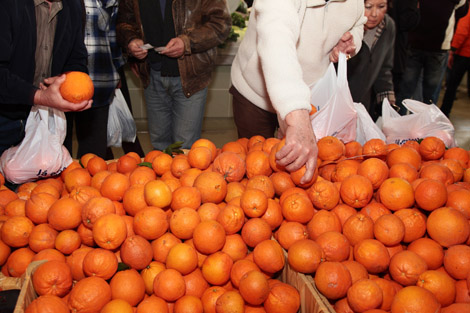 Sul Informação - Mercado Municipal de Portimão dedica uma semana à laranja