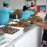 Sul Informação - Em Faro, cheira bem, cheira a marisco da Ria acabado de cozinhar