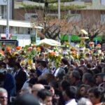 Sul Informação - Fotogaleria: São Brás de Alportel voltou a sair à rua com Tochas Floridas e gritos de aleluia