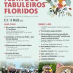 Sul Informação - Festa dos Tabuleiros Floridos volta a animar aldeia de Parises
