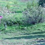 Sul Informação - Do ar, no rio e em caminhos de terra se mostram as riquezas do Baixo Guadiana
