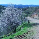Sul Informação - Do ar, no rio e em caminhos de terra se mostram as riquezas do Baixo Guadiana