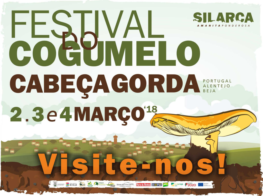 Sul Informação