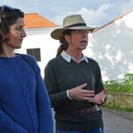 Sul Informação - Em Giões, entre o almece, o pau roxo e o umbigo-de-vénus
