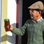 Sul Informação - Em Giões, entre o almece, o pau roxo e o umbigo-de-vénus