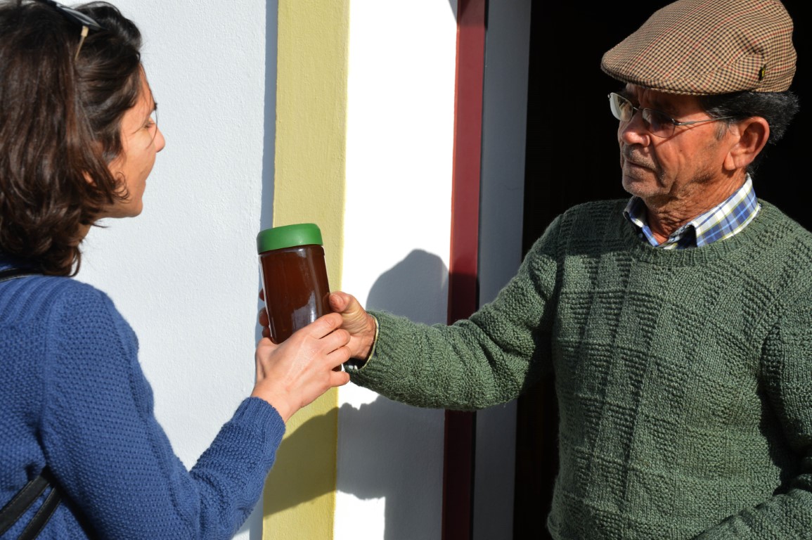 Sul Informação - Em Giões, entre o almece, o pau roxo e o umbigo-de-vénus