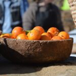 Sul Informação - Em Giões, entre o almece, o pau roxo e o umbigo-de-vénus