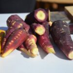 Sul Informação - Em Giões, entre o almece, o pau roxo e o umbigo-de-vénus