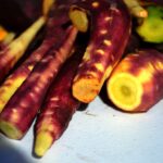 Sul Informação - Em Giões, entre o almece, o pau roxo e o umbigo-de-vénus