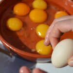 Sul Informação - Em Giões, entre o almece, o pau roxo e o umbigo-de-vénus