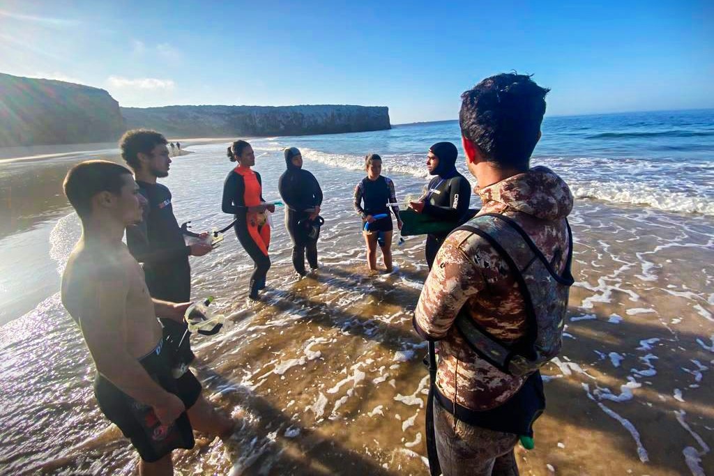 Sul Informação - Festival mostrou florestas marinhas de Sagres e Vila do Bispo a mais de 100 pessoas