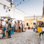 Sul Informação - Momentos altos (e em altura) não faltaram no MED 2016 (com fotos)