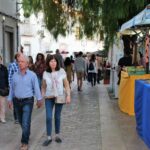 Sul Informação - MED já está a pôr Loulé a fervilhar com músicas do mundo