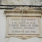 Sul Informação - Terras sem Sombra acaba este sábado e (ainda) é tempo de recordar uma das suas jornadas mais emotivas