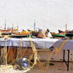 Sul Informação - «Sabe muito bem vir ao Festival da Caldeirada» de Armação de Pêra